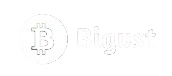 bigvst